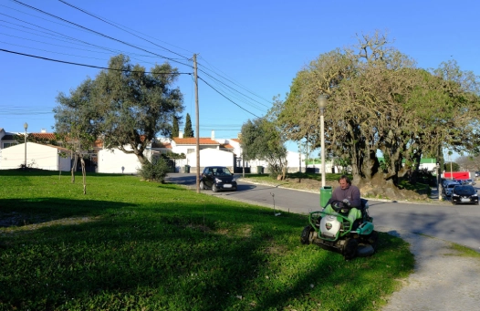 Deservagem nos Olivais