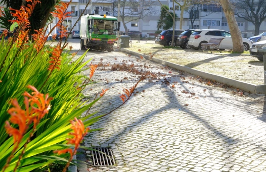 Trabalhos de varredura mecânica